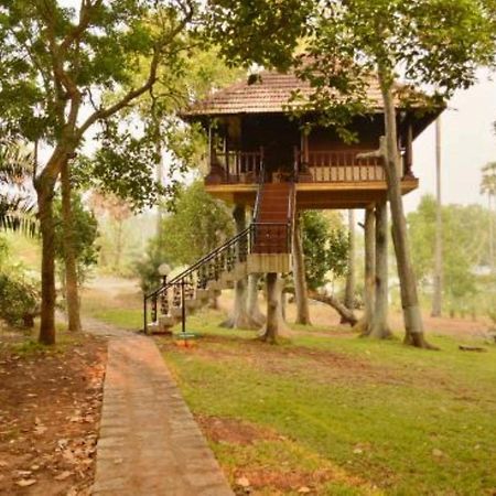 Isola Di Cocco Ayurvedic Beach Resort Poovar Dış mekan fotoğraf