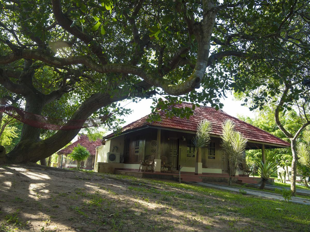 Isola Di Cocco Ayurvedic Beach Resort Poovar Dış mekan fotoğraf