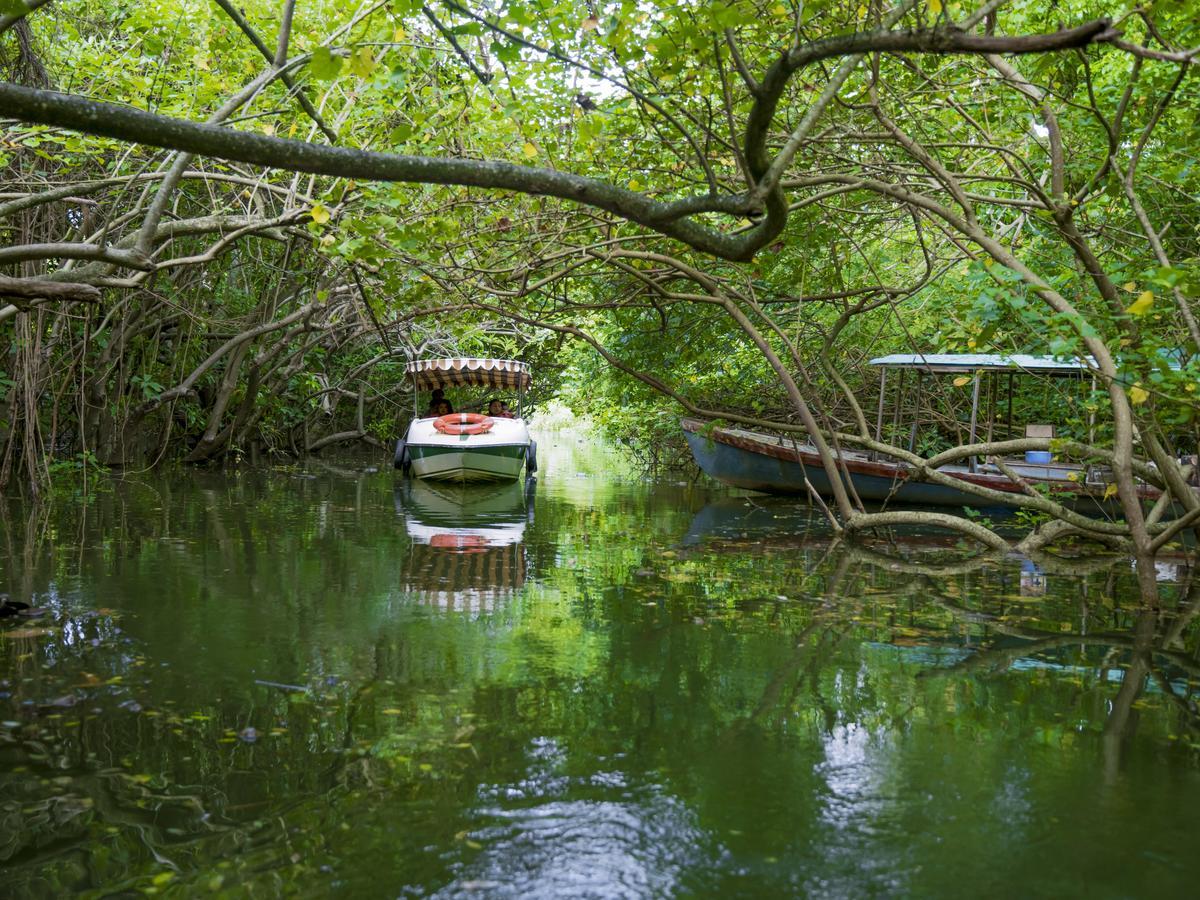 Isola Di Cocco Ayurvedic Beach Resort Poovar Dış mekan fotoğraf